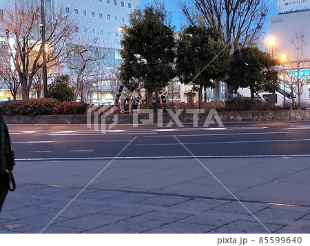 夕方の大通り。車が途切れた瞬間に木々のざわめきが聞こえる 85599640