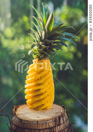 Smooth rocks and pond on a tropical forest background Smooth rocks and pond on a tropical forest background 85600080