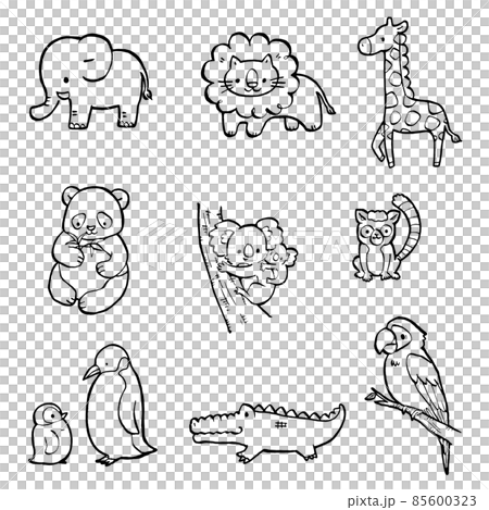 Cute hand drawn illustration set coloring book of animals in the zoo 85600323