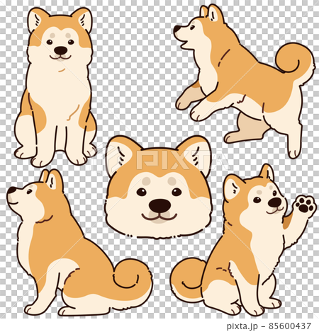 シンプルで可愛い秋田犬のイラストセット　主線あり 85600437
