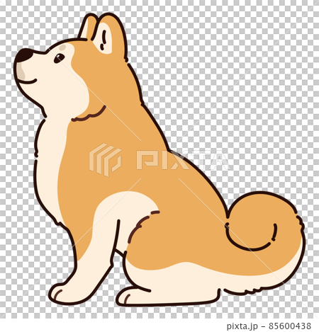 横を向いてお座りするシンプルで可愛い秋田犬のイラスト　主線あり 85600438