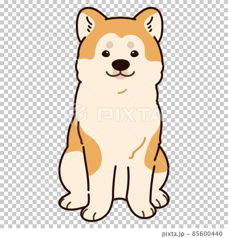 一隻簡單可愛的秋田犬坐在前面，有一條主線的插圖 85600440