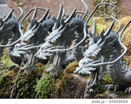 箱根神社・九頭龍神社新宮の龍神水を吐く龍神の首の写真素材 [85600668