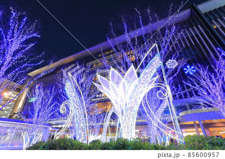 【福岡県】JR博多駅のイルミネーション(光の街・博多) 【福岡県】JR博多駅のイルミネーション(光の街・博多) 85600957