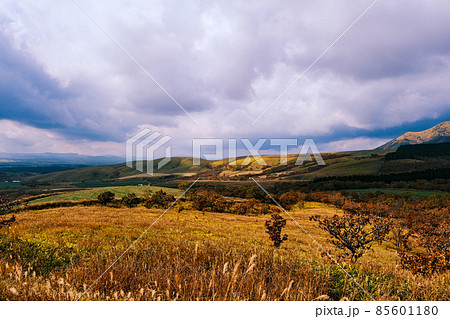 秋の由布岳の高原02 85601180