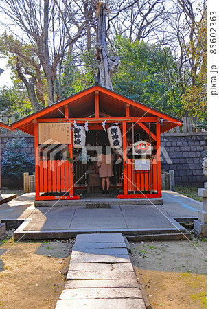 天王寺区の生國魂神社 天王寺区の生國魂神社 85602363