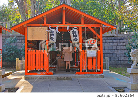 天王寺区の生國魂神社 85602364