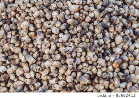 Mushrooms in the Vietnamese market. Asian cuisine concept 85602412