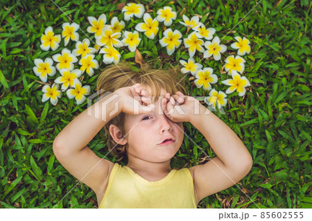beautiful little boy lies on meadow with frangipani beautiful little boy lies on meadow with frangipani 85602555