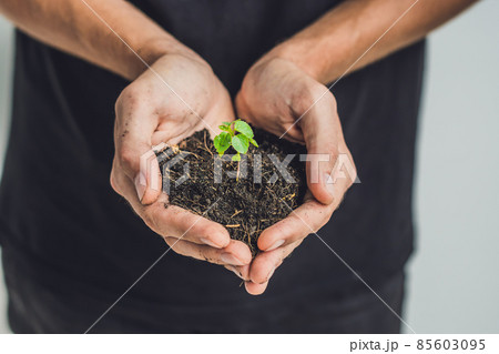 Hands holding young green plant, on black background. The concept of ecology, environmental protection Hands holding young green plant, on black background. The concept of ecology, environmental protection 85603095