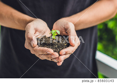 Hands holding young green plant, on black background. The concept of ecology, environmental protection Hands holding young green plant, on black background. The concept of ecology, environmental protection 85603143