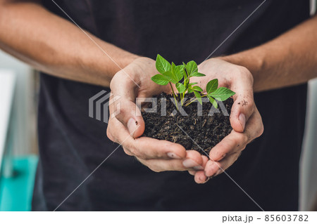 Hands holding young green plant, on black background. The concept of ecology, environmental protection Hands holding young green plant, on black background. The concept of ecology, environmental protection 85603782