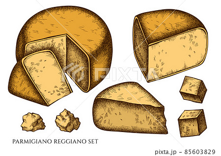 Cheese hand drawn vector illustrations collection. Colored parmigiano reggiano. 85603829