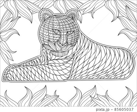 Tiger Line Drawing Surreounded With Flower Frame For Detailed Colouring Book 85605037