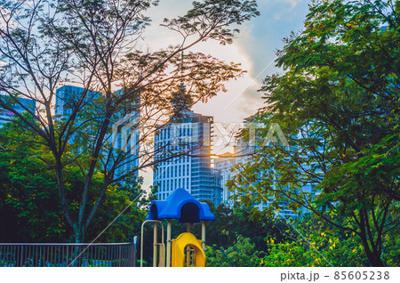 Green park with tropical plants on the background of the city skyline. Ecology concept 85605238