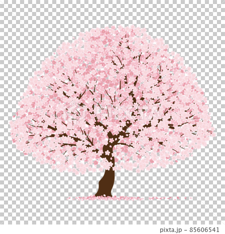 桜 85606541