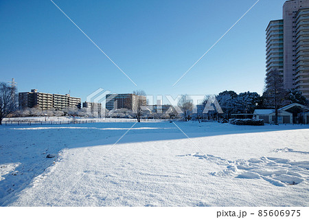 尾久の原公園の雪景色 冬景色 尾久の原公園の雪景色 冬景色 85606975