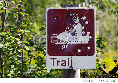 Closeup of a shot up trail sign in summer 85607178
