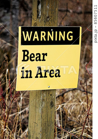 Warning Bear in Area sign 85607511