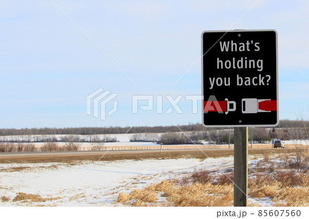 What's Holding You Back Seat Belt Reminder Sign What's Holding You Back Seat Belt Reminder Sign 85607560