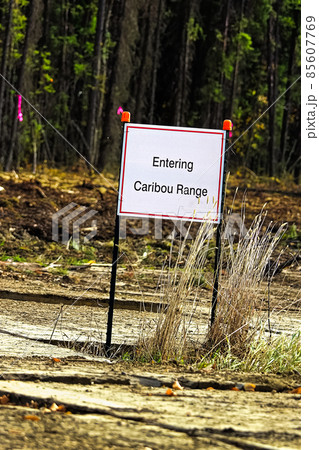 A white entering caribou range sign in rural Alberta 85607769