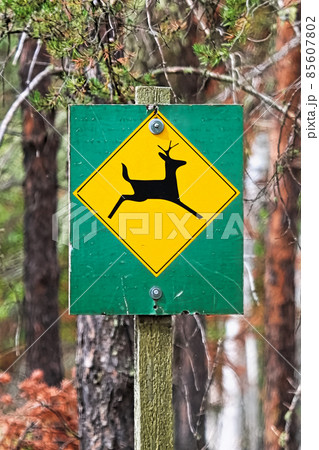 A green and orange deer crossing warning sign 85607802