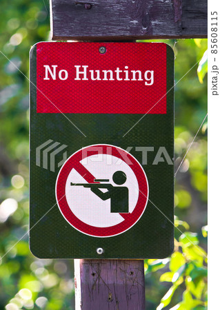 Closeup of a no hunting sign on a green background Closeup of a no hunting sign on a green background 85608115