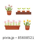 Flowers pot. Nature cartoon vector illustration of flowers 85608521
