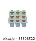 Transplant seedlings or vector young plant growing in plastic pot. 85608522