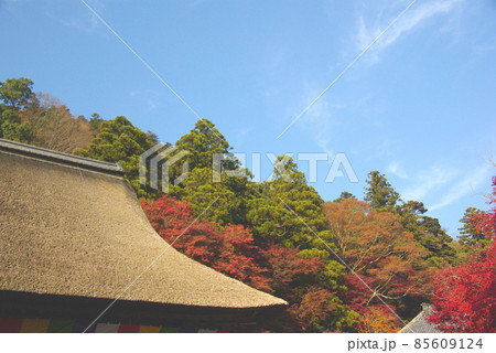 永源寺の紅葉 永源寺の紅葉 85609124