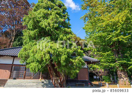 永明寺　羽生市 85609633