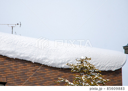 雪庇 85609883