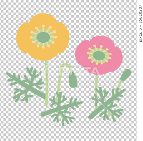 Illustration of multiple poppies - Stock Illustration [85610207] - PIXTA
