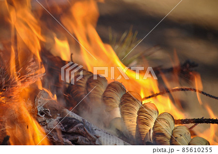 正月明け、近所の神社にて恒例のどんど焼きに行く 85610255