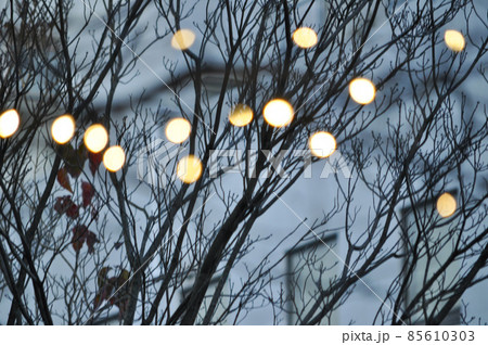 二子玉川のイルミネーション、タマボケ写真。 85610303