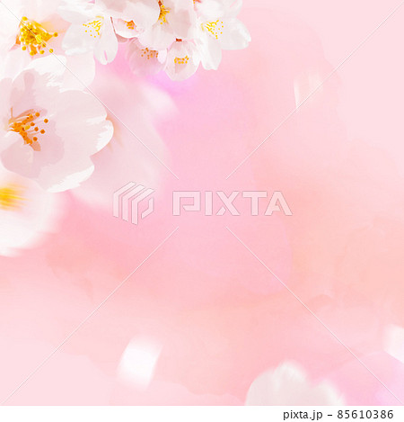 桜のイメージ的な背景 85610386