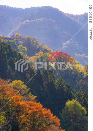 秋のかつらぎ町四郷付近の風景　和歌山県伊都郡かつらぎ町 85610409