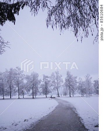countryside winter road in forest countryside winter road in forest 85610684