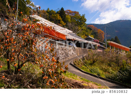 秋のかつらぎ町四郷、東谷地区の風景　和歌山県伊都郡かつらぎ町 85610832