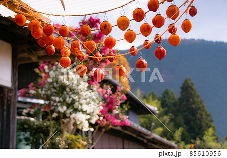秋のかつらぎ町四郷の風景　和歌山県伊都郡かつらぎ町 85610956