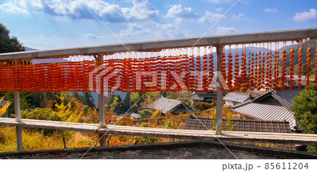 秋のかつらぎ町四郷、干し柿の風景　和歌山県伊都郡かつらぎ町 85611204