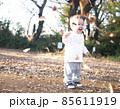 落ち葉で遊ぶハーフの赤ちゃん 85611919