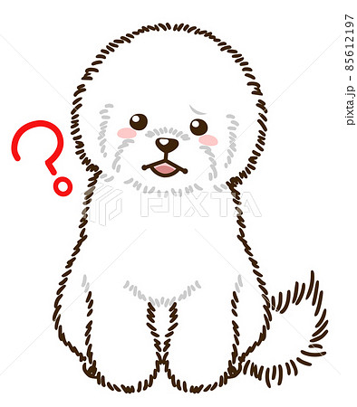 疑問に思うビションフリーゼのイラスト素材