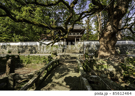 嬉野温泉　瑞光寺　山門　佐賀県嬉野市 85612464