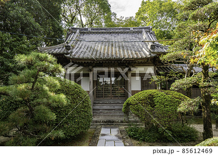嬉野温泉　瑞光寺　観音堂　佐賀県嬉野市 85612469