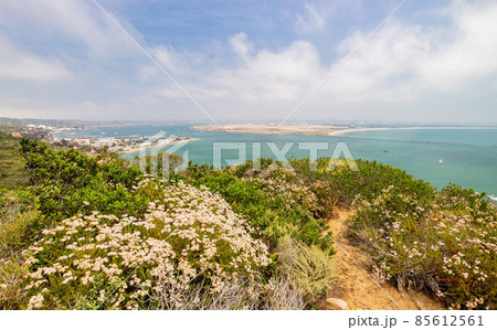 Sunnt view of the downtown cityscape from Cabrillo National Monument 85612561