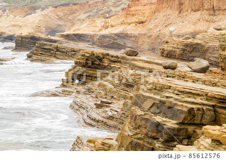 Overcast view of the nature landscape of Cabrillo National Monument 85612576