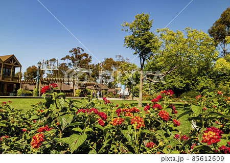 Sunny view of the Balboa Park at San Diego 85612609