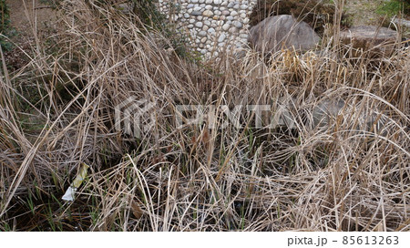 リサイクル 生態学 破棄 85613263