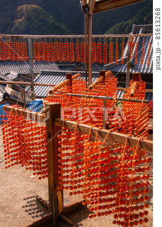 四郷干し柿の風景　和歌山県伊都郡かつらぎ町四郷（平地区） 85613268